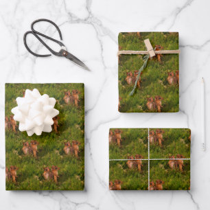 Baby Chipmunks Animal Nature Art   Wrapping Paper Sheet