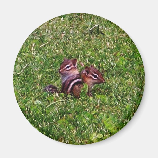 Baby Chipmunks First Day Animal Magnet (Front)