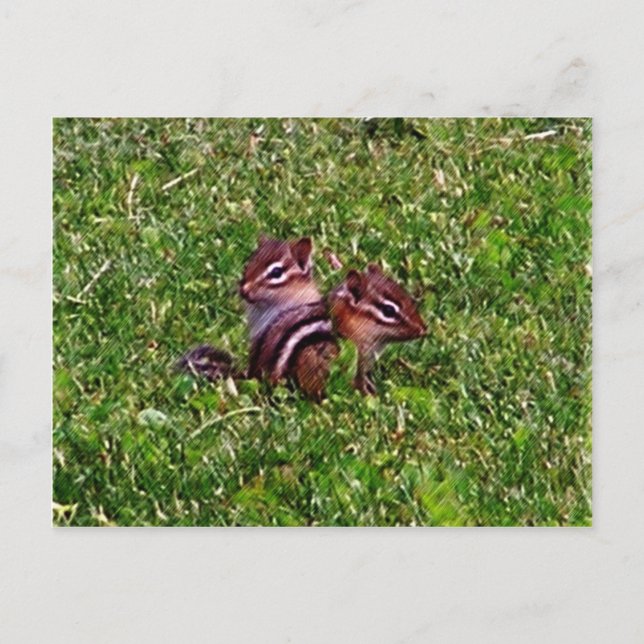 Baby Chipmunks First Day Animal Postcard (Front)