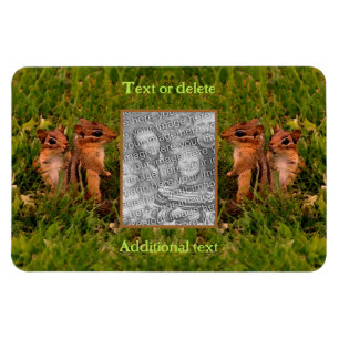 Baby Chipmunks Frame Create Your Own Photo Magnet