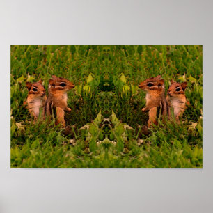 Baby Chipmunks Wildlife Animal Art Poster