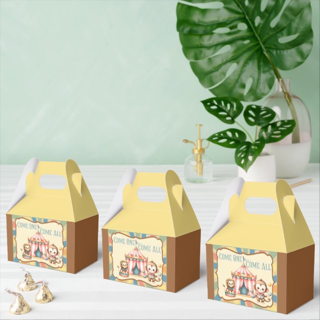 Baby Circus Favour Box (Multiple)