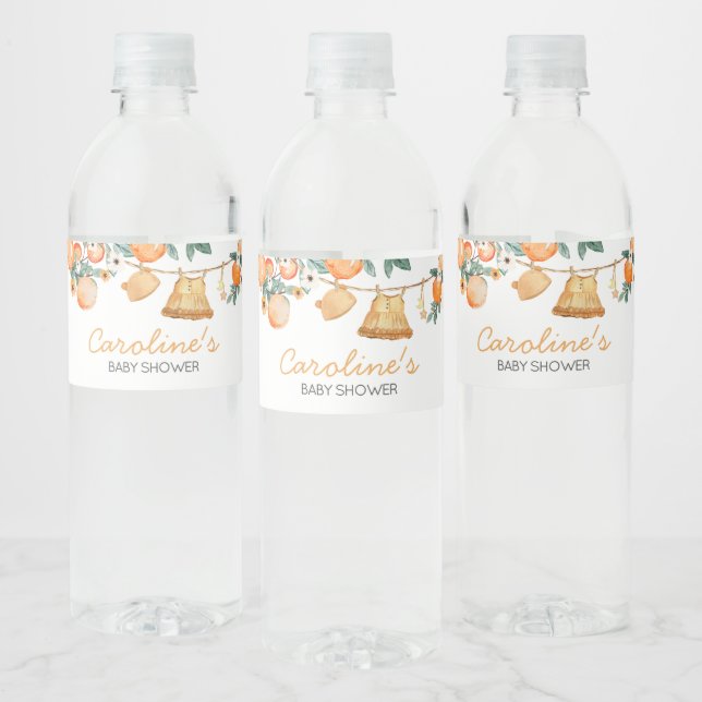 Baby Clothesline Orange Fruit Baby Shower  Water Bottle Label (Bottles)