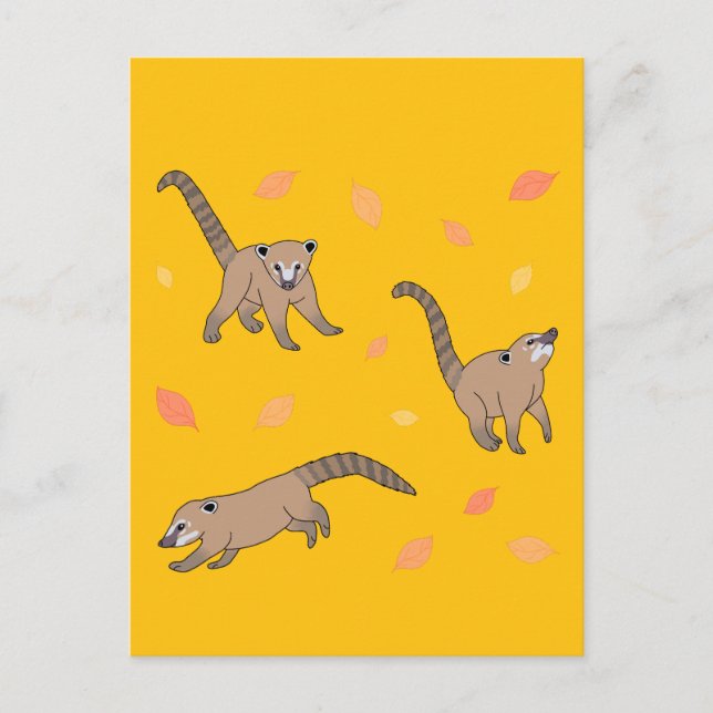 Baby Coatis Postcard (Front)