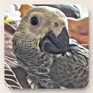 Baby Congo African Gray Parrot Coaster