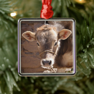 Baby Cow - Brown Baby Calf Close Up Face Metal Tree Decoration