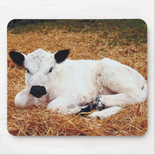 Baby Cow, Calf Mouse Pad