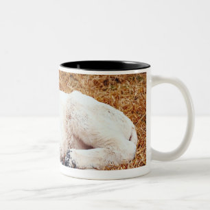 Baby Cow, Calf Two-Tone Coffee Mug