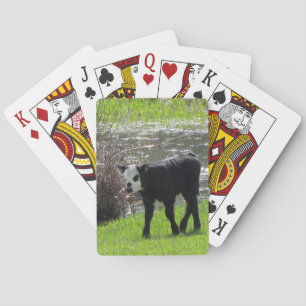 Baby Cow Playing Cards