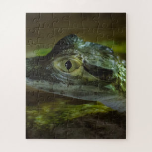 Baby Crocodile Swimming in Water Jigsaw Puzzle