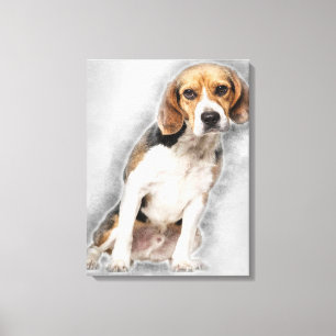 baby cute Beagle dog  2 years old Canvas Print