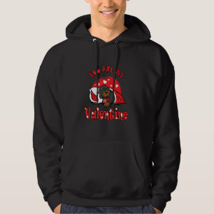 Baby Dachshund Comfort Blanket You Are My Valentin Hoodie