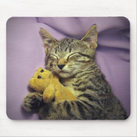 Baby Daisy Kitty Cat Kitten Sleeping w/ Teddy Bear