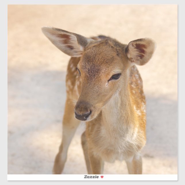 Baby Deer (Sheet)
