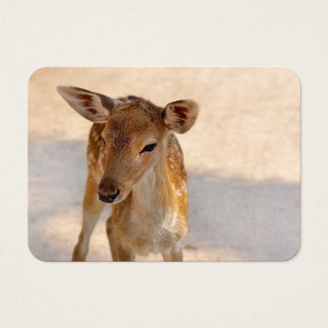 Baby Deer (Front)