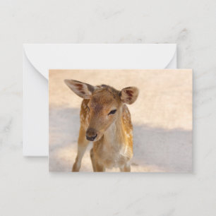 Baby Deer Card