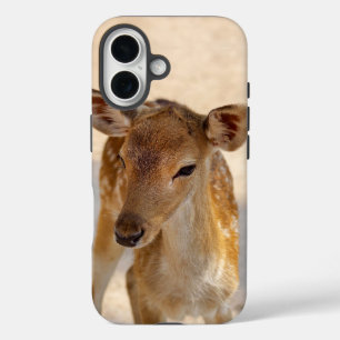 Baby Deer iPhone 16 Case