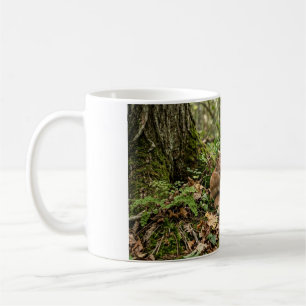 Baby Deer Curled in a Forest Coffee Mug