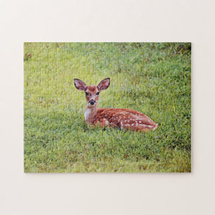 Baby Deer Cute Fawn Art Puzzle