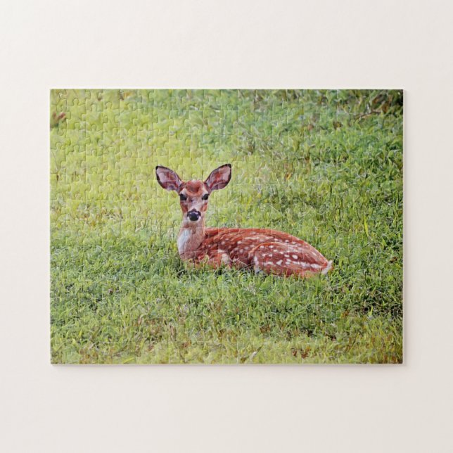 Baby Deer Cute Fawn Art Puzzle (Horizontal)