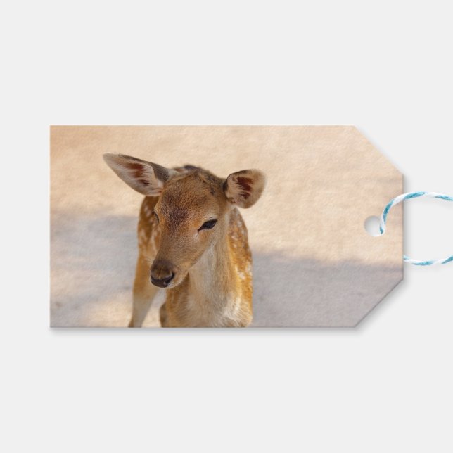 Baby Deer Gift Tags (Front (Horizontal))