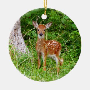 Baby Deer in the Woods Nature Photography Ceramic Tree Decoration