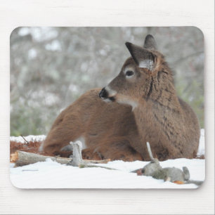 Baby Deer in Winter Coat Mouse Pad