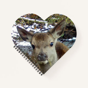 Baby Deer Notebook