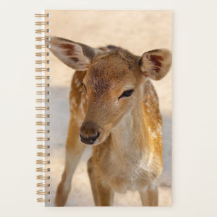 Baby Deer Planner