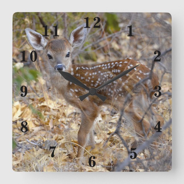 Baby Deer Square Wall Clock (Front)