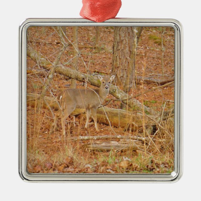 Baby Deer's First  winter Metal Tree Decoration (Front)