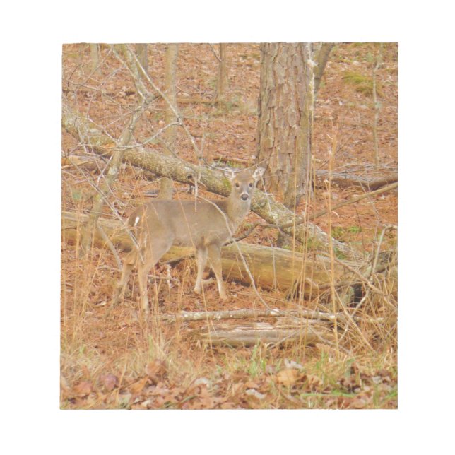 Baby Deer's First  winter Notepad (Front)