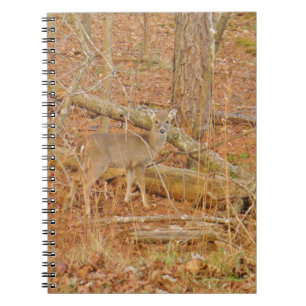 Baby Deer's First winter Spiral Notebook