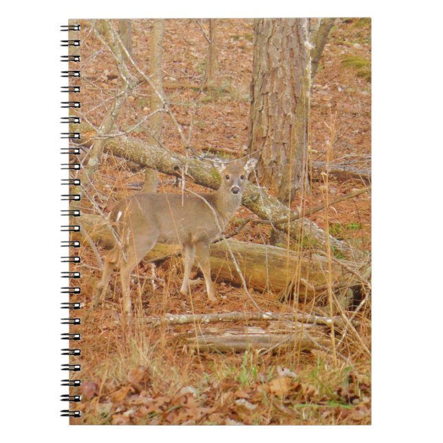 Baby Deer's First  winter Spiral Notebook (Front)
