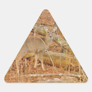Baby Deer's First  winter Triangle Sticker
