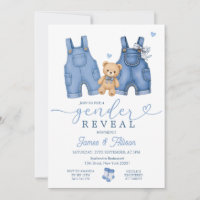 Baby Denim Clothes Bear Gender Reveal