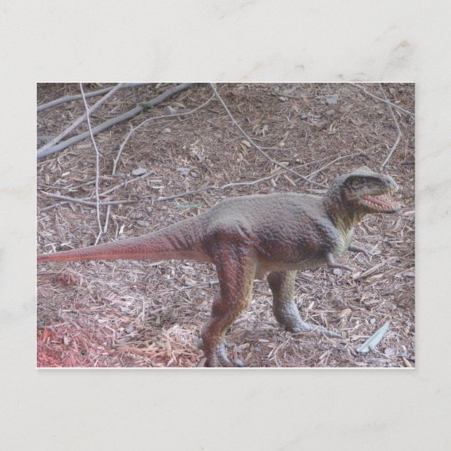 baby dinosaur postcard (Front)