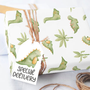 Baby Dinosaur Wrapping Paper