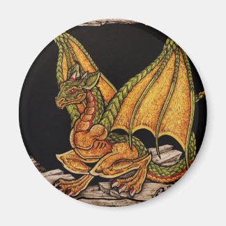 Baby Dragon items Magnet