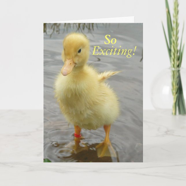 Baby Duck Birthday Card (Front)