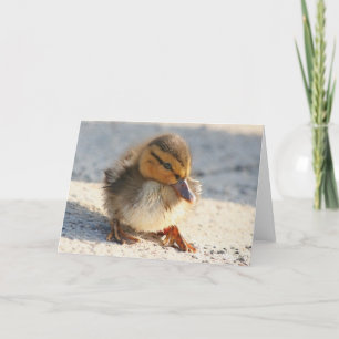 Baby Duck Duckling Card