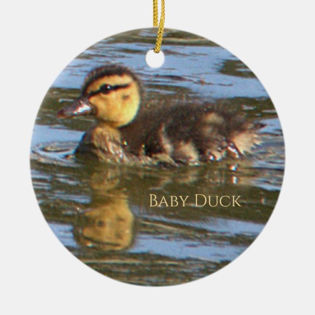 Baby Duck Photo Ornament (Front)