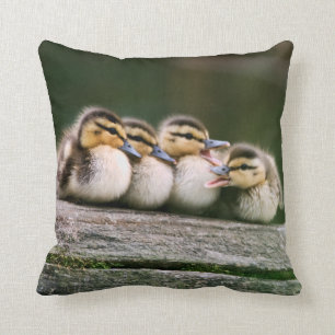 Baby Ducks Cushion