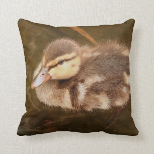 Baby Ducks Duckling Bird Wildlife Animals Mallard Cushion
