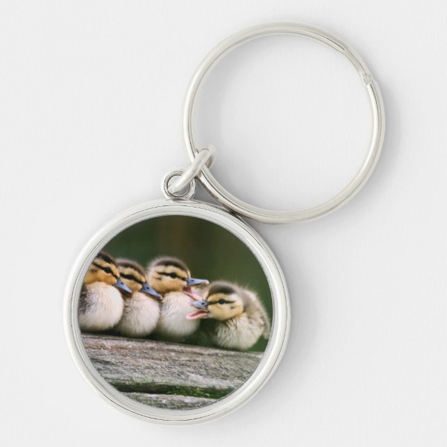 Baby Ducks Key Ring (Front)