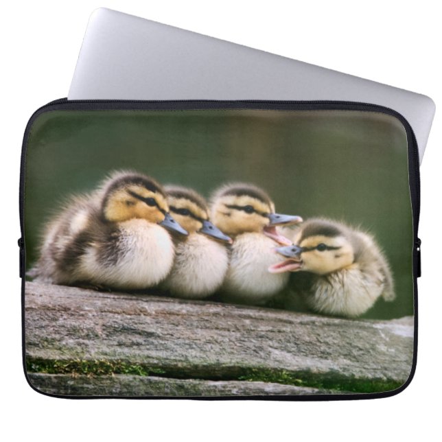 Baby Ducks Laptop Sleeve (Front)