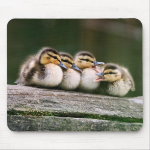 Baby Ducks Mouse Pad