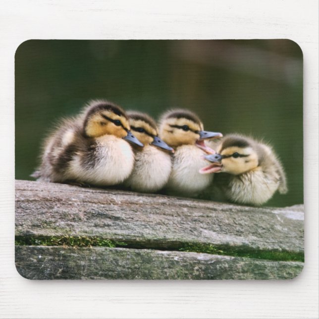 Baby Ducks Mouse Pad (Front)