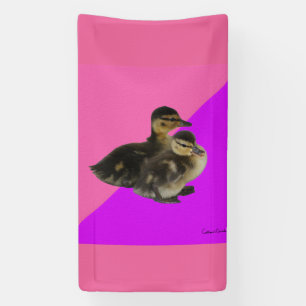 Baby Ducks on Pink Raspberry and Purple Sorbet Banner