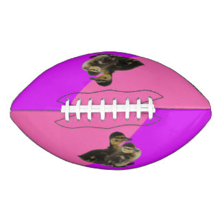 Baby Ducks on Pink Raspberry and Purple Sorbet Football